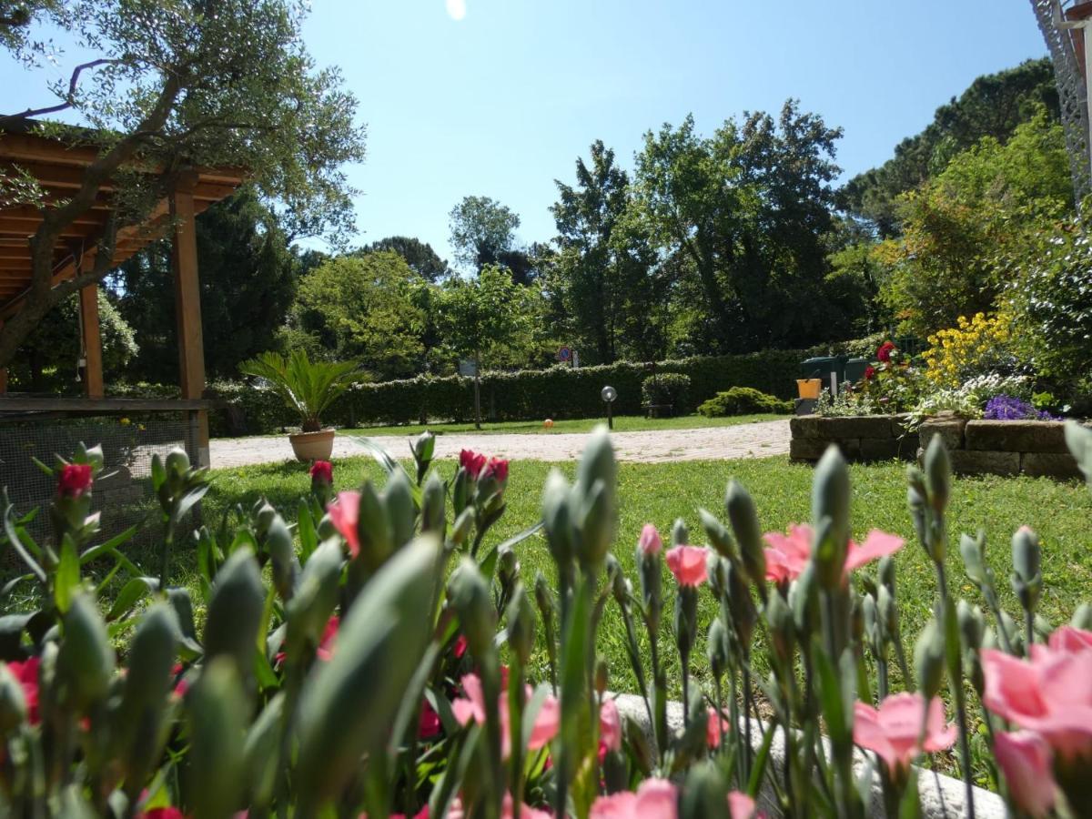 Antonella'S Home Cavallino-Treporti Exterior photo